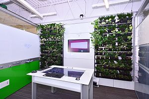 office